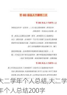 大二学年个人总结,大二学年个人总结200字