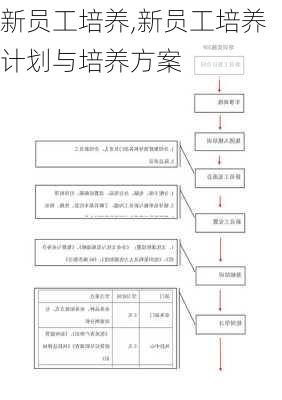 新员工培养,新员工培养计划与培养方案-第1张图片-星梦范文网