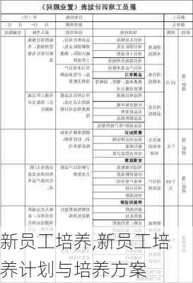 新员工培养,新员工培养计划与培养方案-第3张图片-星梦范文网