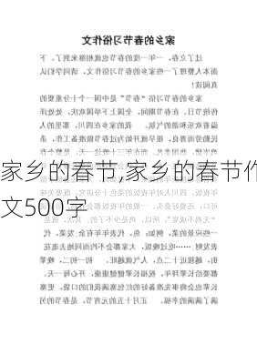 家乡的春节,家乡的春节作文500字