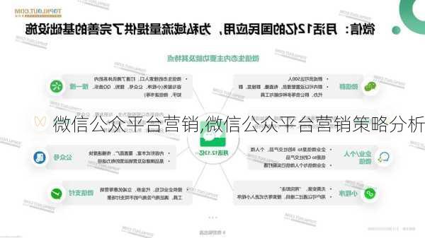 微信公众平台营销,微信公众平台营销策略分析-第1张图片-星梦范文网