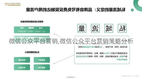 微信公众平台营销,微信公众平台营销策略分析-第3张图片-星梦范文网