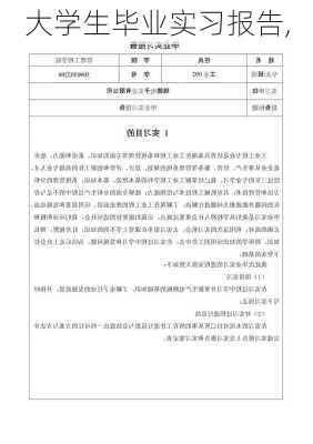 大学生毕业实习报告,-第2张图片-星梦范文网