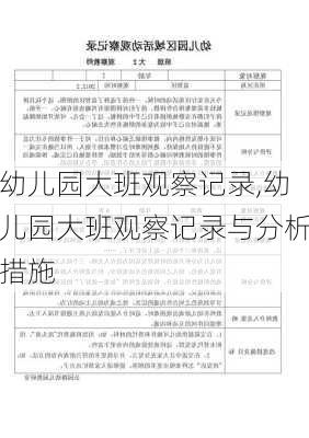 幼儿园大班观察记录,幼儿园大班观察记录与分析措施-第3张图片-星梦范文网