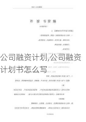 公司融资计划,公司融资计划书怎么写