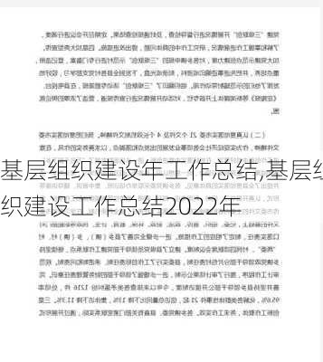 基层组织建设年工作总结,基层组织建设工作总结2022年