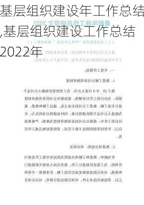 基层组织建设年工作总结,基层组织建设工作总结2022年-第2张图片-星梦范文网