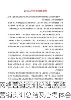 网络营销实训总结,网络营销实训总结及心得体会-第3张图片-星梦范文网