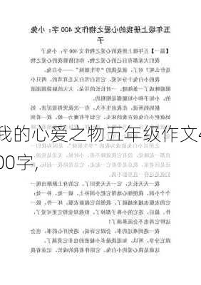 我的心爱之物五年级作文400字,