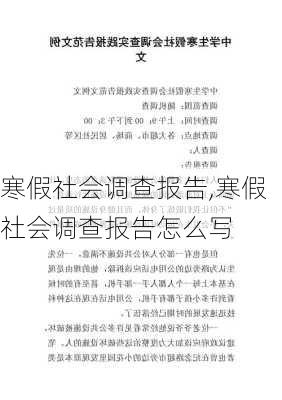 寒假社会调查报告,寒假社会调查报告怎么写-第2张图片-星梦范文网