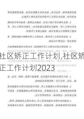 社区矫正工作计划,社区矫正工作计划2023-第3张图片-星梦范文网