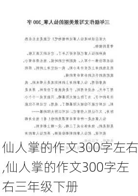 仙人掌的作文300字左右,仙人掌的作文300字左右三年级下册