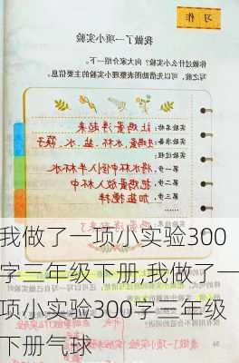 我做了一项小实验300字三年级下册,我做了一项小实验300字三年级下册气球-第1张图片-星梦范文网