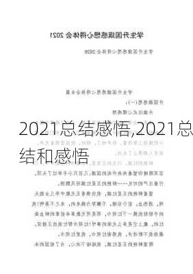 2021总结感悟,2021总结和感悟-第3张图片-星梦范文网