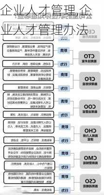 企业人才管理,企业人才管理办法-第1张图片-星梦范文网