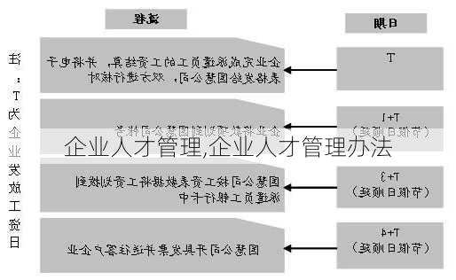 企业人才管理,企业人才管理办法-第3张图片-星梦范文网