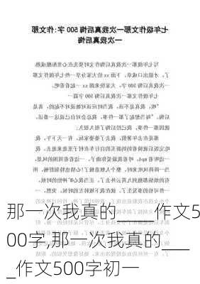 那一次我真的____作文500字,那一次我真的____作文500字初一-第1张图片-星梦范文网