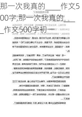 那一次我真的____作文500字,那一次我真的____作文500字初一-第2张图片-星梦范文网