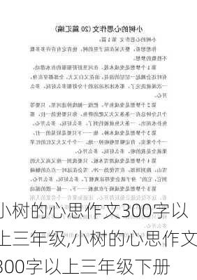 小树的心思作文300字以上三年级,小树的心思作文300字以上三年级下册