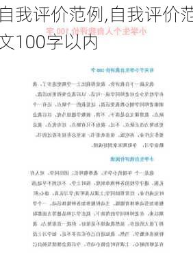 自我评价范例,自我评价范文100字以内-第3张图片-星梦范文网