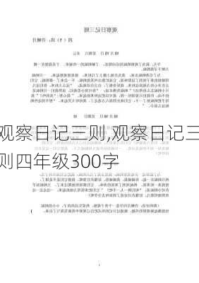 观察日记三则,观察日记三则四年级300字-第2张图片-星梦范文网