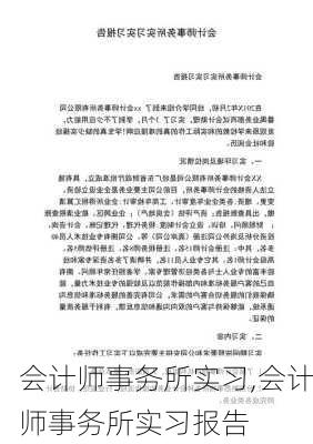 会计师事务所实习,会计师事务所实习报告