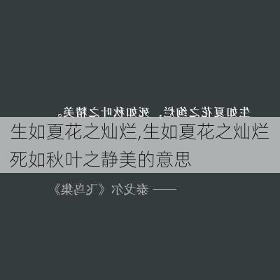 生如夏花之灿烂,生如夏花之灿烂死如秋叶之静美的意思