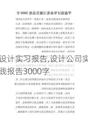 设计实习报告,设计公司实践报告3000字-第2张图片-星梦范文网