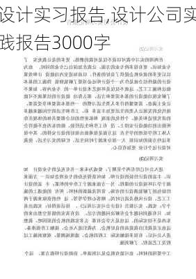 设计实习报告,设计公司实践报告3000字-第1张图片-星梦范文网