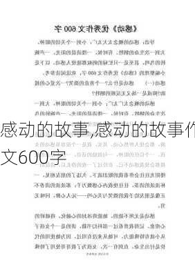 感动的故事,感动的故事作文600字-第3张图片-星梦范文网