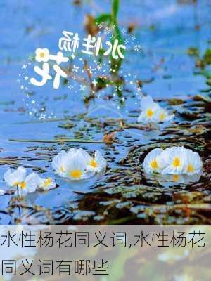 水性杨花同义词,水性杨花同义词有哪些