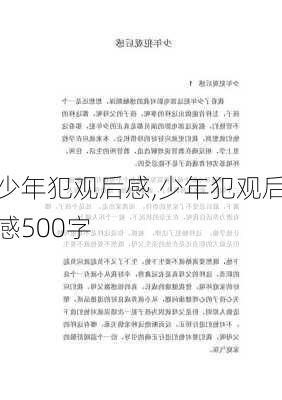 少年犯观后感,少年犯观后感500字-第3张图片-星梦范文网