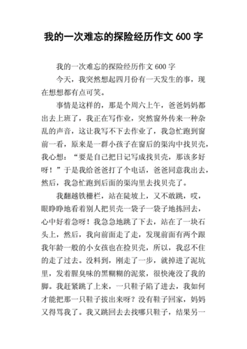 我的经历,我的经历作文600字