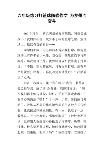 篮球随笔,篮球随笔300字-第3张图片-星梦范文网