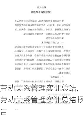 劳动关系管理实训总结,劳动关系管理实训总结报告-第3张图片-星梦范文网