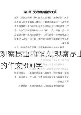 观察昆虫的作文,观察昆虫的作文300字-第2张图片-星梦范文网