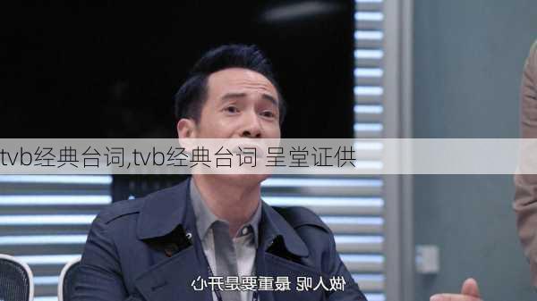 tvb经典台词,tvb经典台词 呈堂证供-第3张图片-星梦范文网