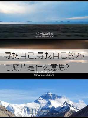 寻找自己,寻找自己的25号底片是什么意思?-第3张图片-星梦范文网