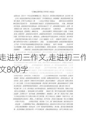 走进初三作文,走进初三作文800字-第2张图片-星梦范文网