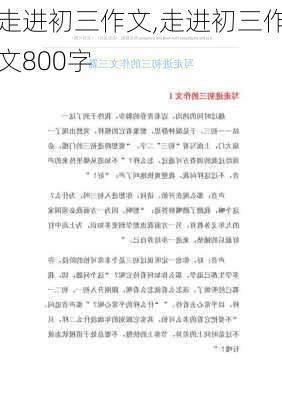 走进初三作文,走进初三作文800字-第3张图片-星梦范文网