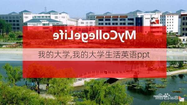 我的大学,我的大学生活英语ppt-第1张图片-星梦范文网