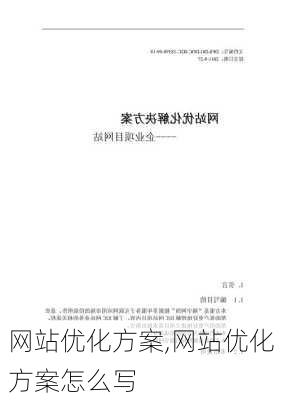 网站优化方案,网站优化方案怎么写-第1张图片-星梦范文网