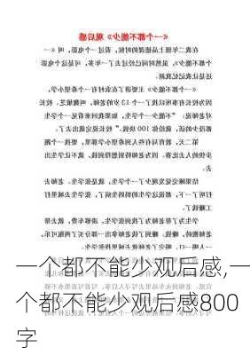 一个都不能少观后感,一个都不能少观后感800字-第3张图片-星梦范文网