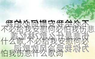 不必给我安慰何必怕我伤悲什么歌,不必给我安慰何必怕我伤悲什么歌词-第2张图片-星梦范文网