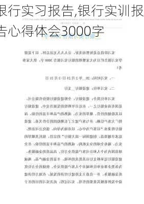 银行实习报告,银行实训报告心得体会3000字-第3张图片-星梦范文网