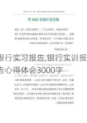 银行实习报告,银行实训报告心得体会3000字-第2张图片-星梦范文网