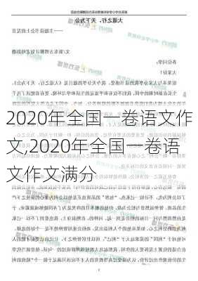 2020年全国一卷语文作文,2020年全国一卷语文作文满分-第3张图片-星梦范文网