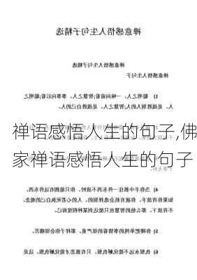 禅语感悟人生的句子,佛家禅语感悟人生的句子-第2张图片-星梦范文网