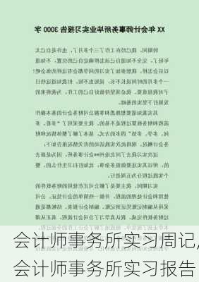 会计师事务所实习周记,会计师事务所实习报告