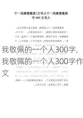 我敬佩的一个人300字,我敬佩的一个人300字作文-第3张图片-星梦范文网